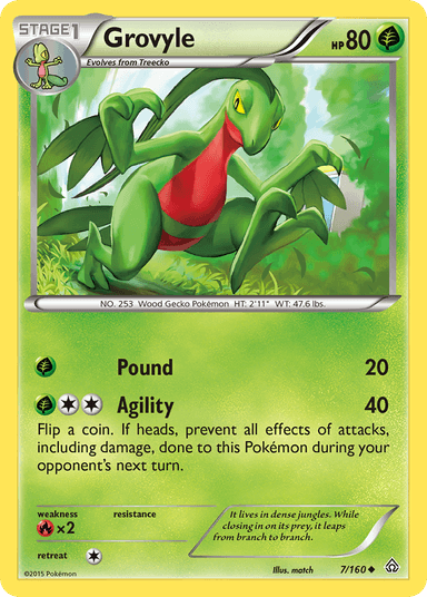 Grovyle, Primal Clash 7