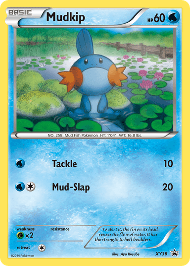 Mudkip, XY Black Star Promos XY38