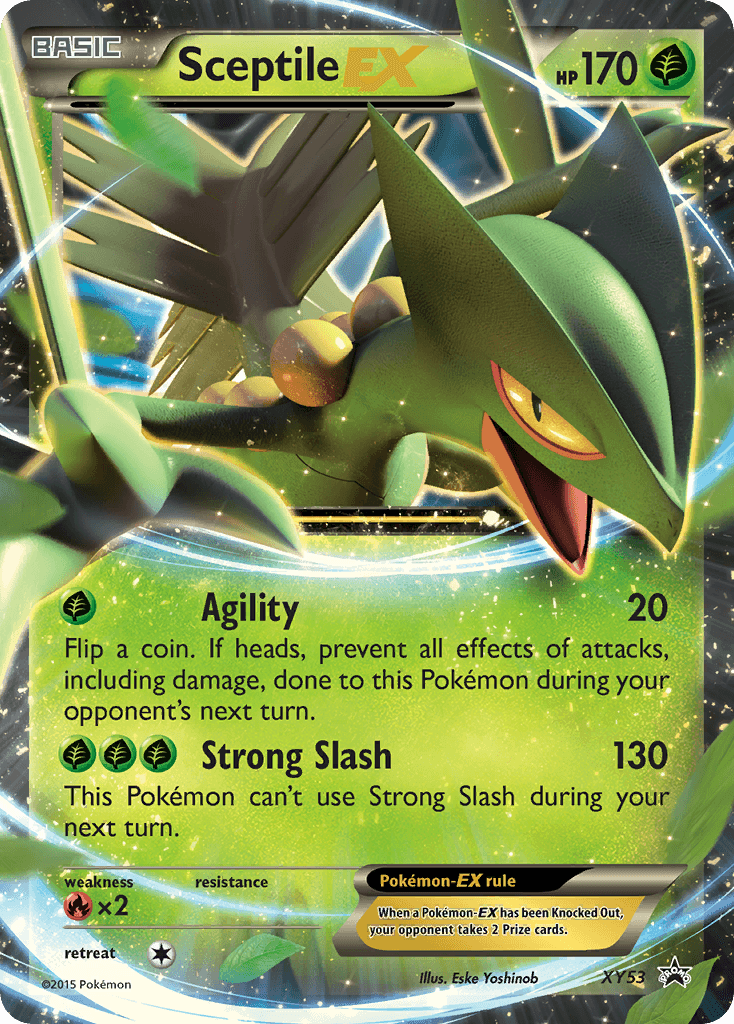 Sceptile-EX, XY Black Star Promos XY53