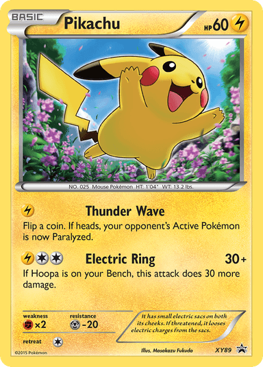 Pikachu, XY Black Star Promos XY89