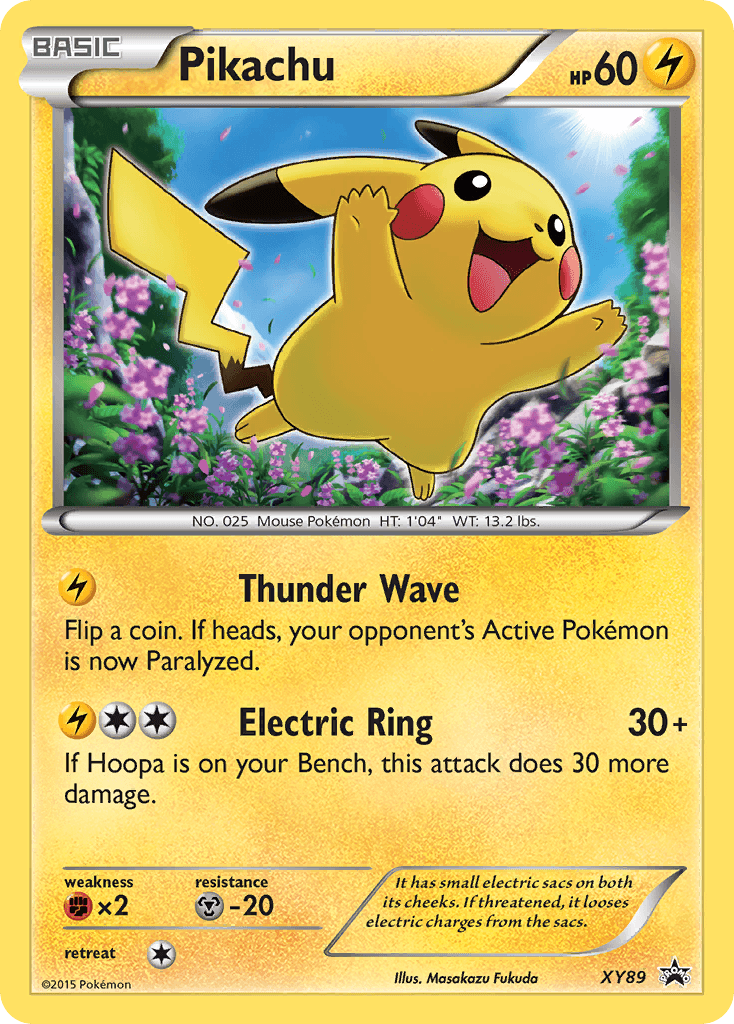 Pikachu, XY Black Star Promos XY89