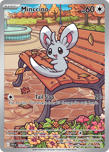 Minccino, Black Bolt 152