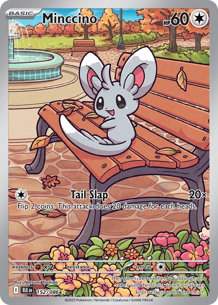 Minccino, Black Bolt 152