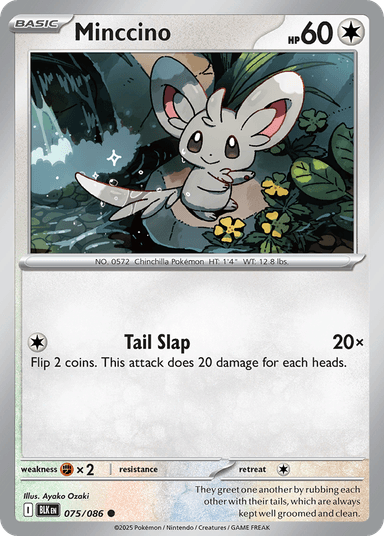 Minccino, Black Bolt 75
