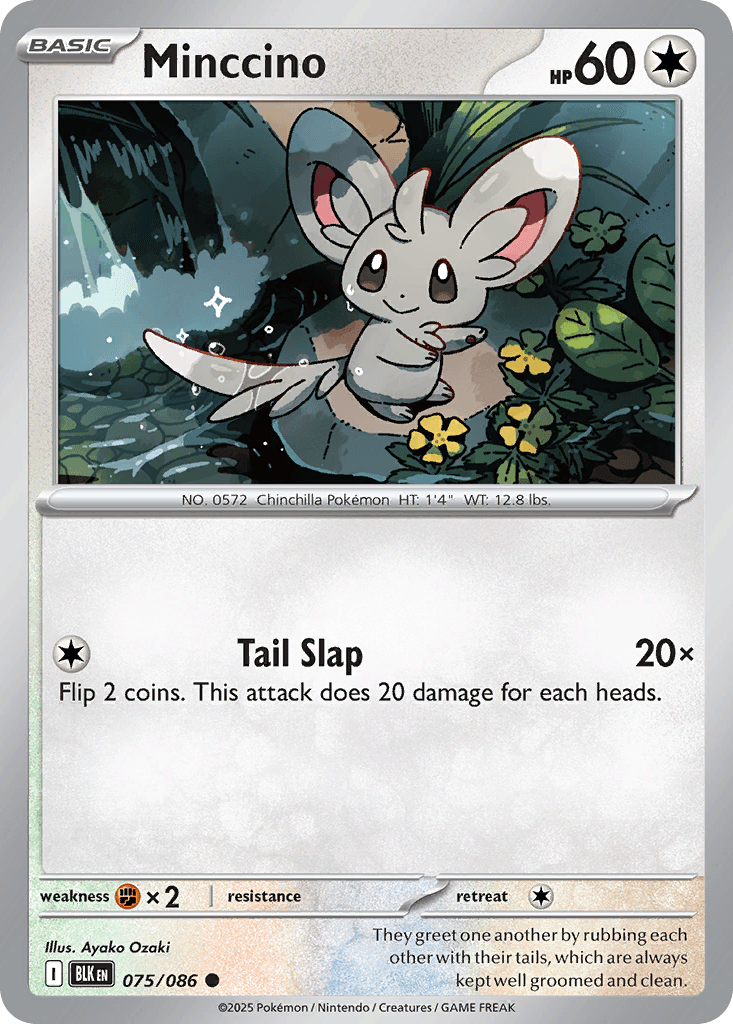 Minccino, Black Bolt 75