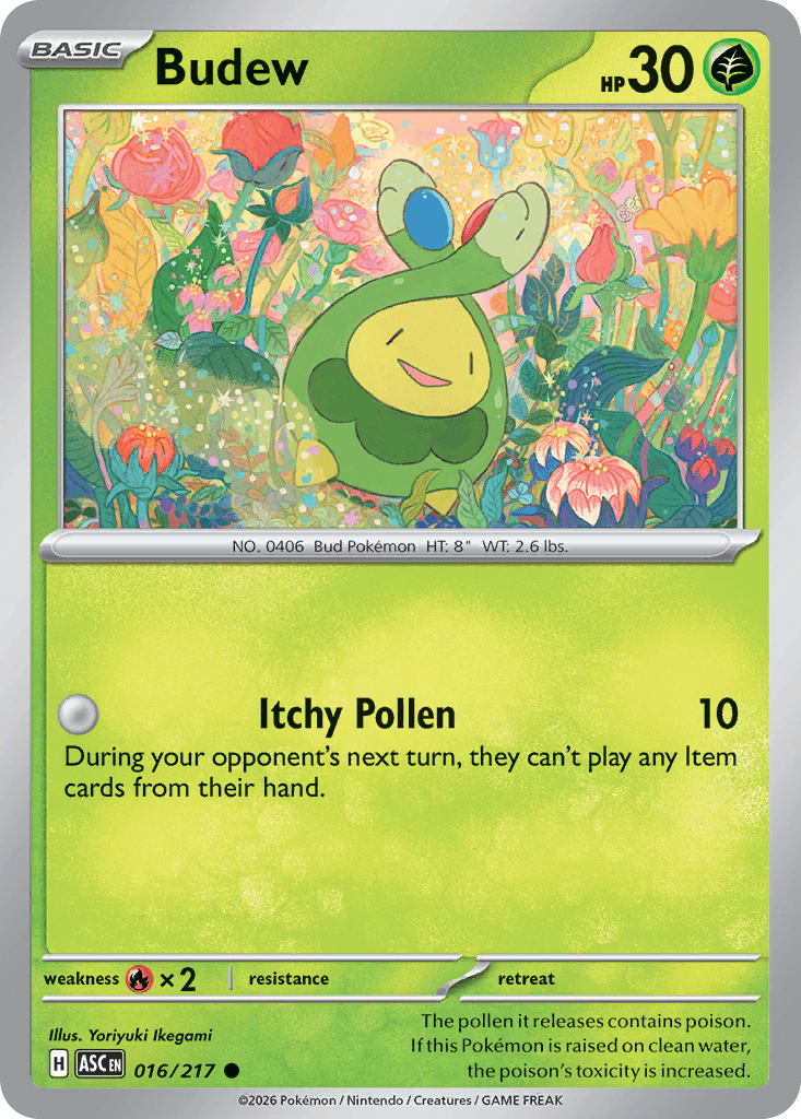 Budew, Ascended Heroes 16