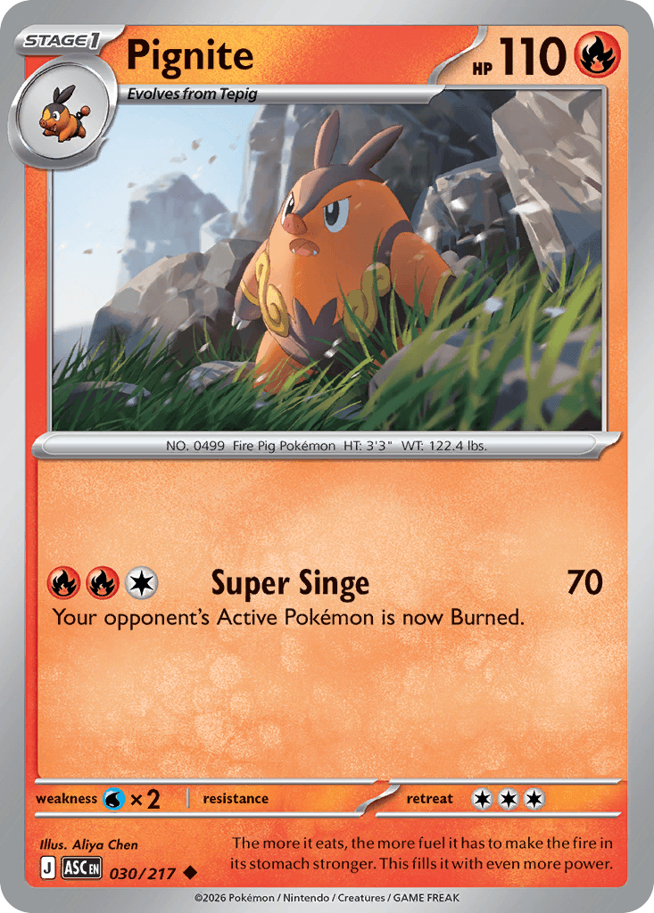 Pignite, Ascended Heroes 30