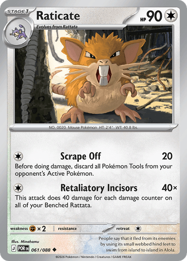 Raticate, Perfect Order 61