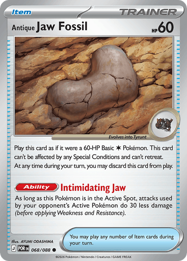 Antique Jaw Fossil, Perfect Order 68