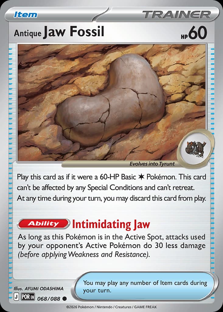 Antique Jaw Fossil, Perfect Order 68