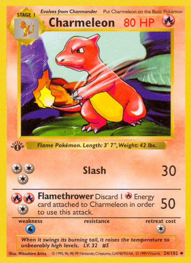 Charmeleon, Base 24