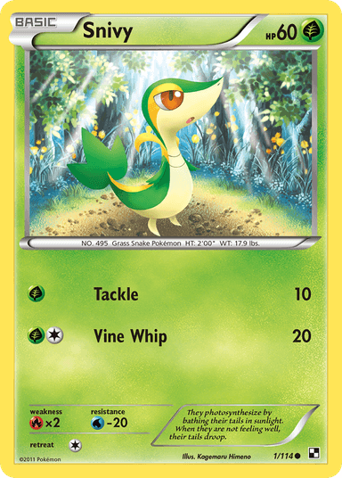Snivy, Black & White 1