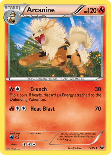 Arcanine, Next Destinies 13