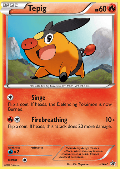 Tepig, BW Black Star Promos BW07