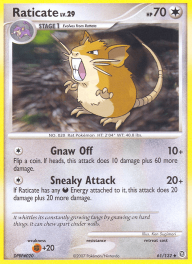 Raticate, Secret Wonders 61