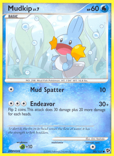 Mudkip, Great Encounters 80