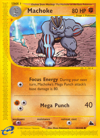 Machoke, Skyridge 38
