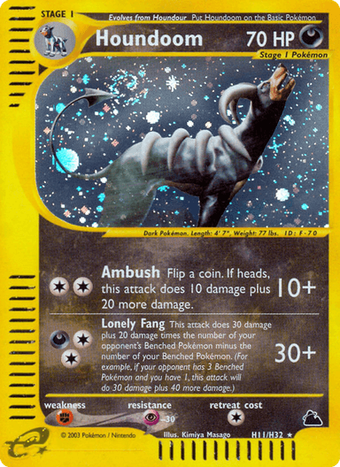 Houndoom, Skyridge H11