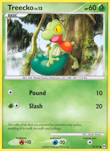 Treecko, Arceus 79