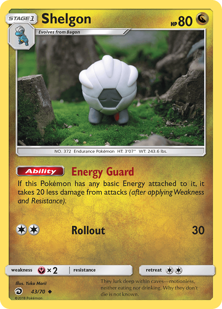 Shelgon, Dragon Majesty 43