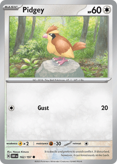 Pidgey, Obsidian Flames 162