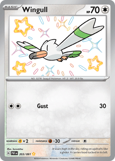 Wingull, Paldean Fates 203