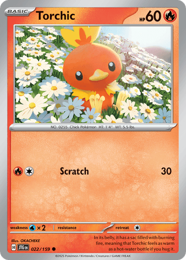 Torchic, Journey Together 22