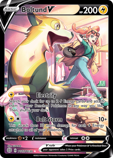 Boltund V, Brilliant Stars Trainer Gallery TG13