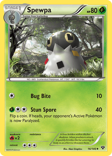 Spewpa, XY 16