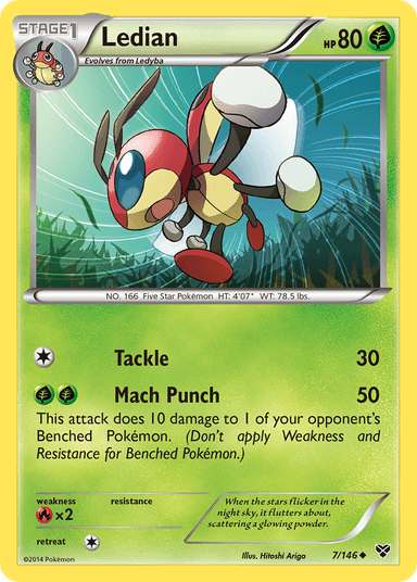 Ledian, XY 7