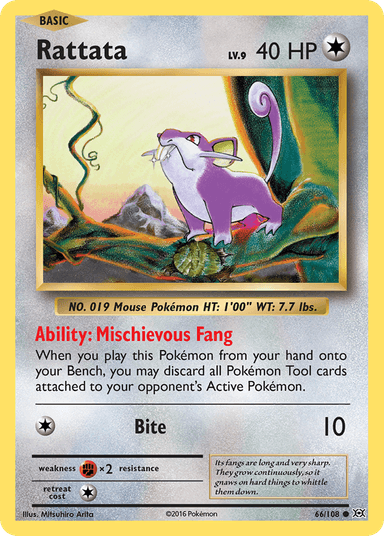 Rattata, Evolutions 66