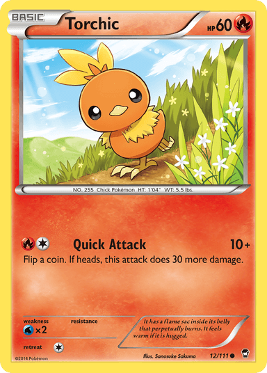 Torchic, Furious Fists 12