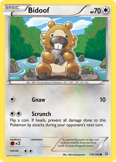 Bidoof, Primal Clash 116