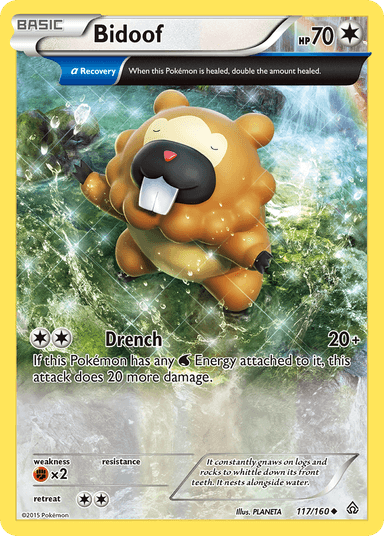 Bidoof, Primal Clash 117