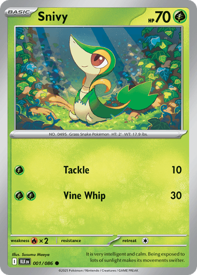 Snivy, Black Bolt 1